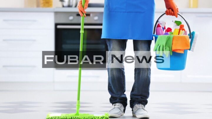 Professional Cleaners for Your Home